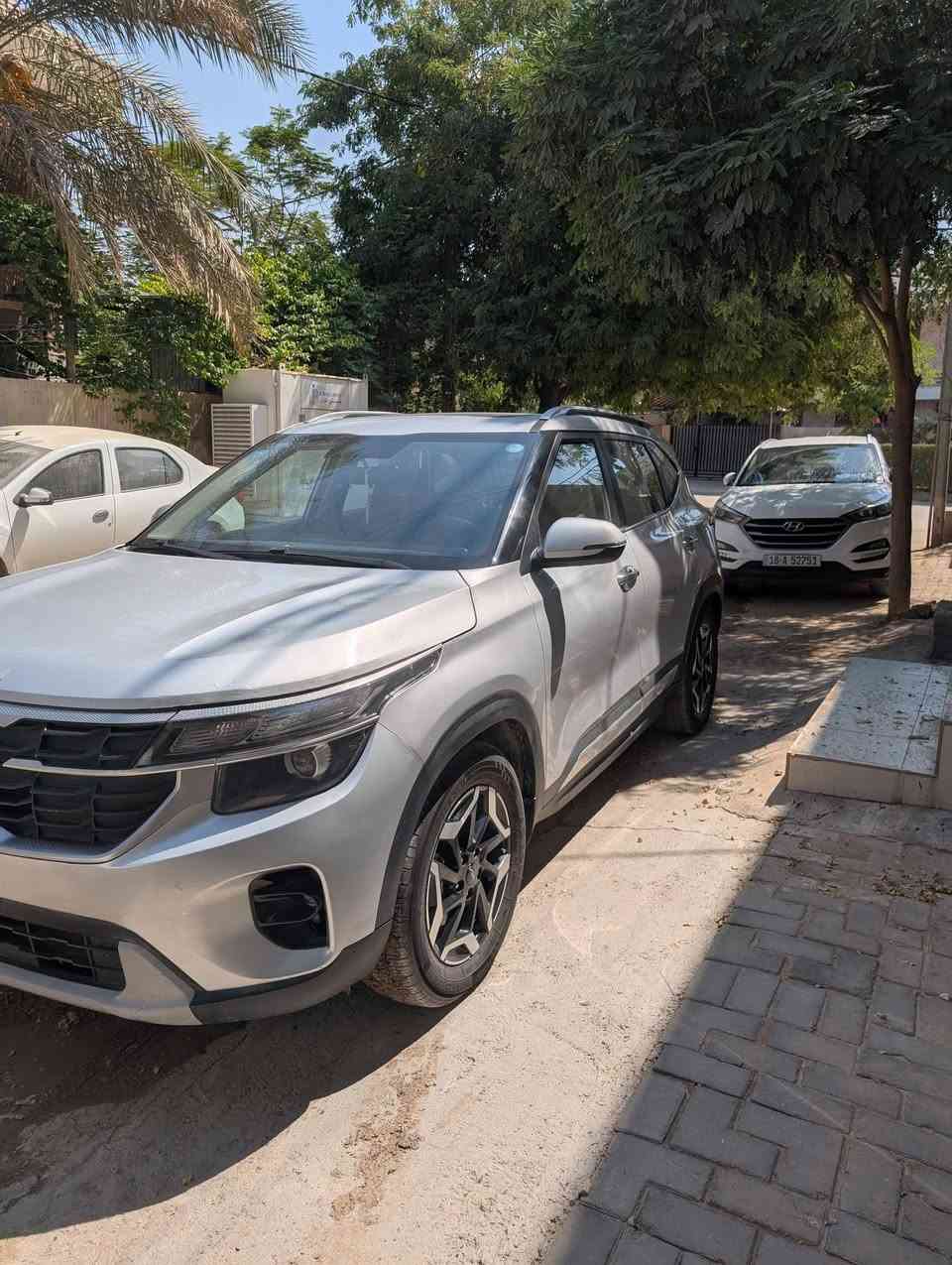 سيلتوس ٢٠٢٤ • رقم اربيل • بانوراما