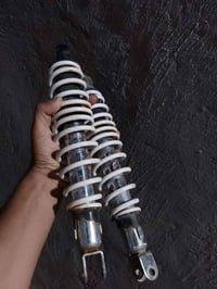 سكنس فحل • نثيه • توصيل