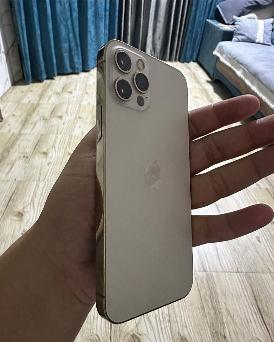 IPHONE 12pro 128g
مكفول كفالة عامة كلشي مامبدل بي 
بطارية 🔋 ٨١ 
ذاكرة ١٢٨ 
لون ذهبي 
السعر ٣٠٠ 
مكاني بغداد الشعب 
واتساب ***********
