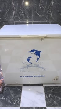مجمدة • للبيع