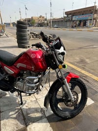 مطور • ام زد • ٢٠١٩