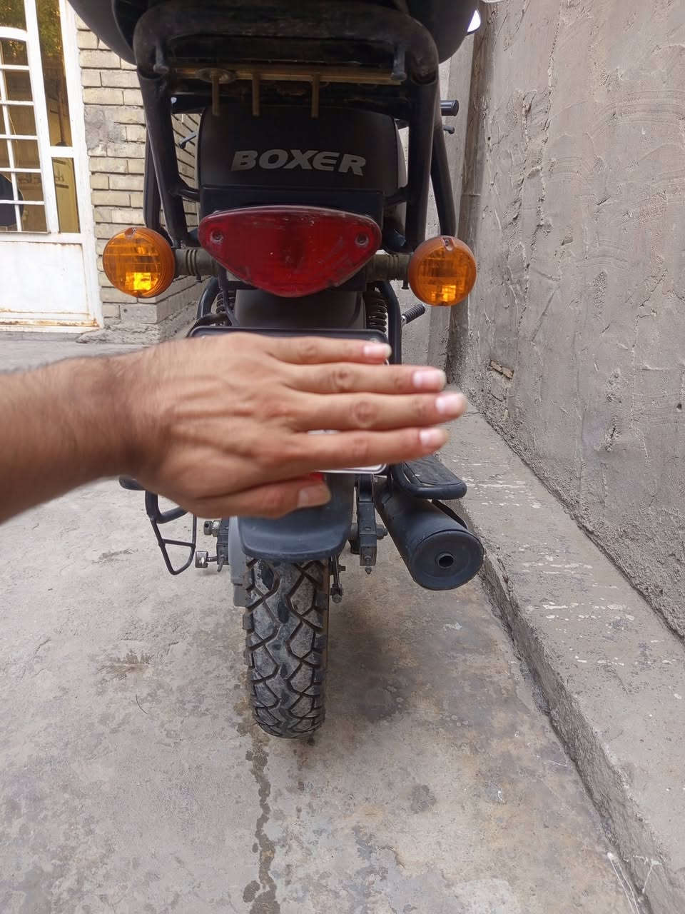 بوكسر جبلي • موديل ٢٢ • ماشية ٣١٠٠٠