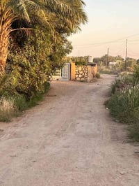 بابل المحاويل الفندية • ١٠٠٠م • طابو زراعي سند ٢٥