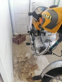 سكنس • ٢٠٢٣ • اوراق