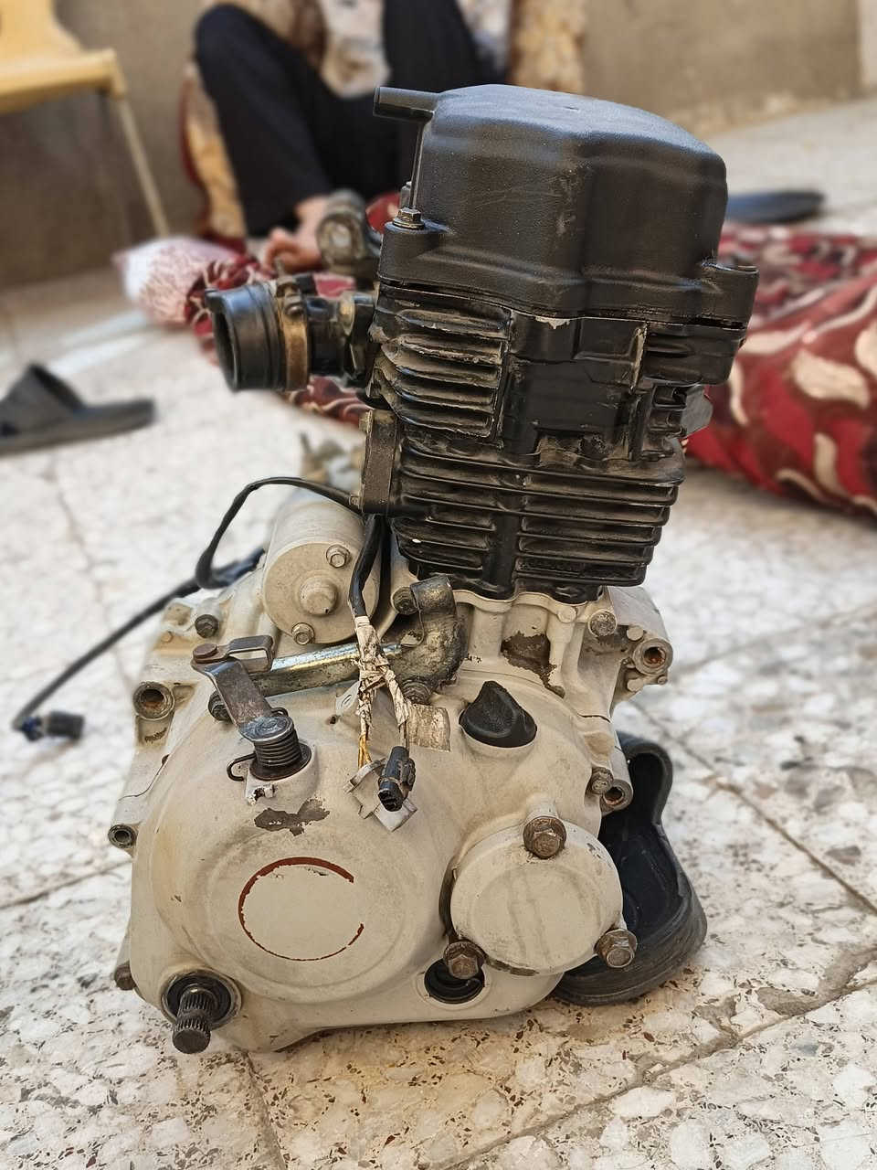 مكينه دراجه بوكسر مجفته مره وحده على ايدي تجفيت شركه ما بيها لا تبخير ولا صوت خرسه لمكينه جبناتها طاكه ومبدلهن  مرتبها بسلكون حراري لان ما ضبطها الي ولا مصلح ختاريت هاي طريقه اضبط لموقع البصرة كرمة علي  سعر 450 الف  
رقم ***********
