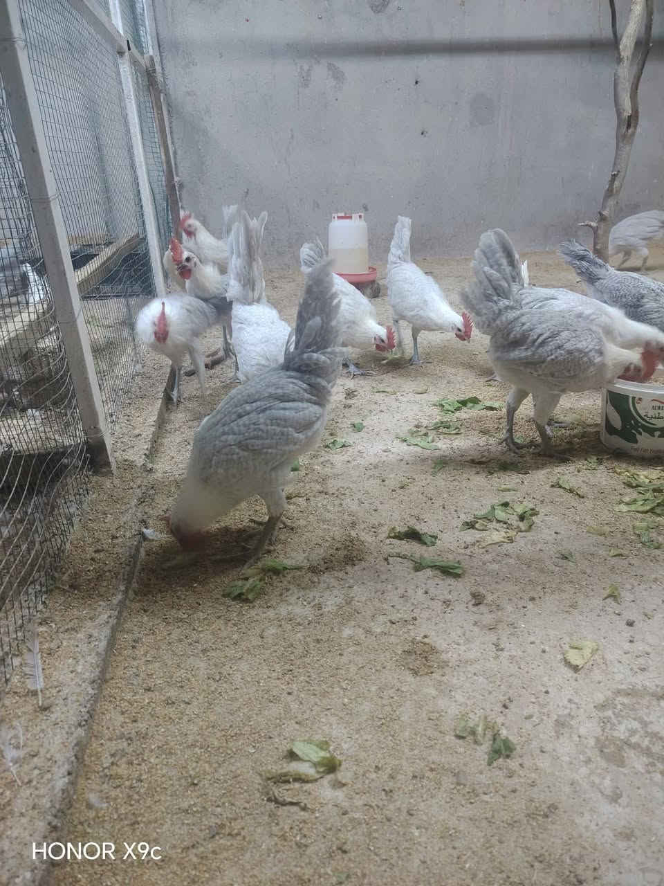 المنيوم • ١٧ تك • موصل الشلالات
