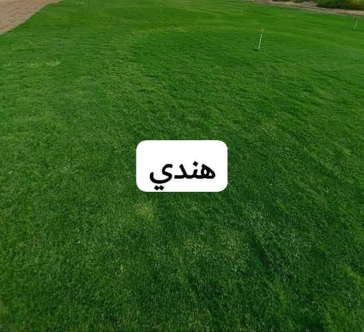 السلام عليكم انواع الديكورات الحدايق نافورات وشلال انسب الأسعار ***********
