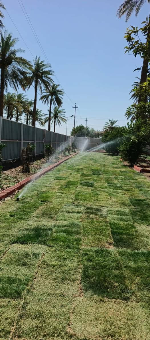 سلام عليكم على بركة الله عملي تجهيز مزارع ديكورات حدائق تجيز حدائق من اشجار لحمضيات ازهار وكذالك يتوفر لدينه انوع فسائل النخيل ونشتغل كل انواع الأين
مع فرش ثيل درجه اولئ وكذالك ادامة الحدائق تنضيف قص الشجار عمل درجه اولئ 
الاستفسار اتصال على هاذء رقم ***********
