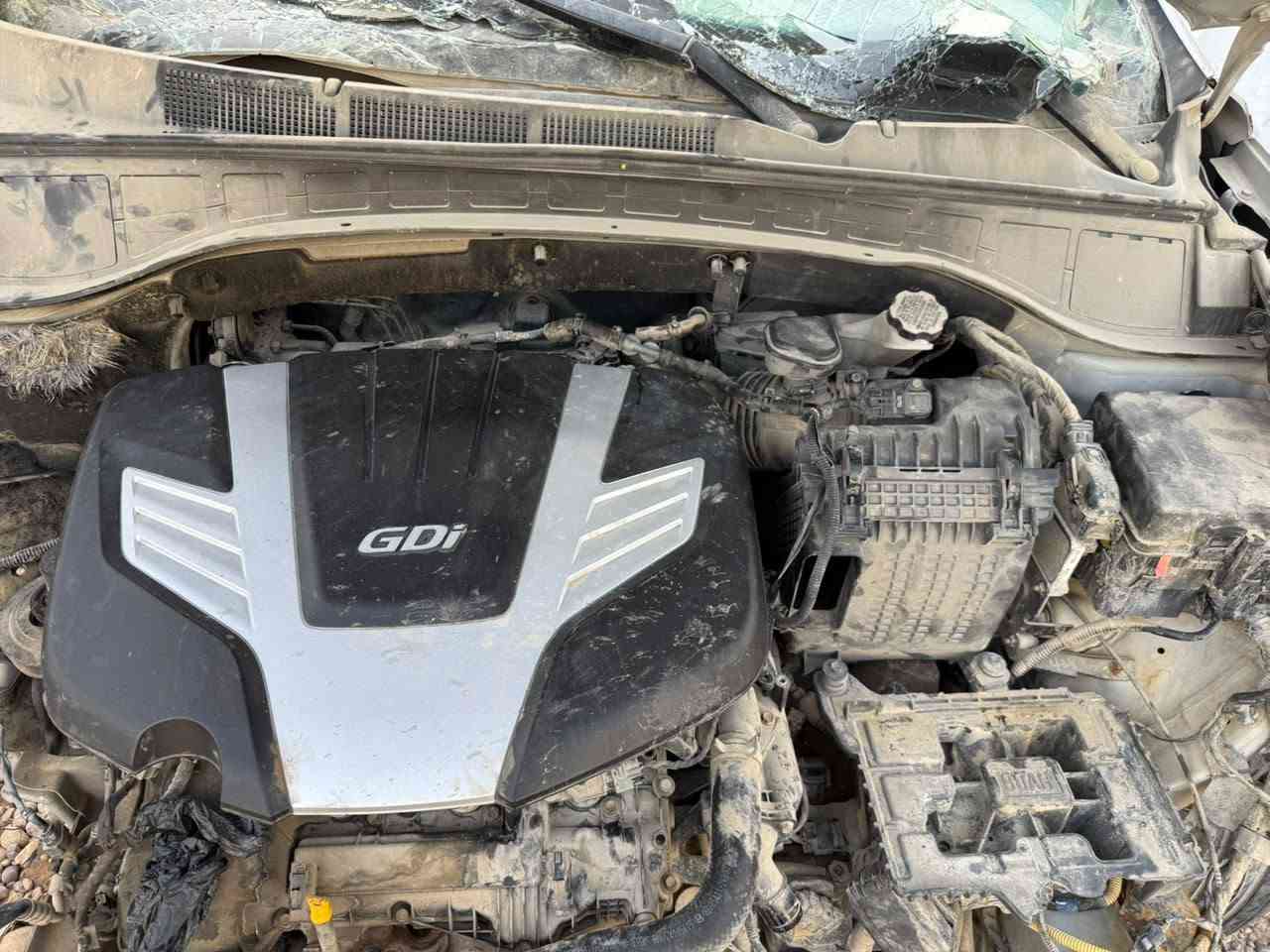 لا توجد تفاصيل
