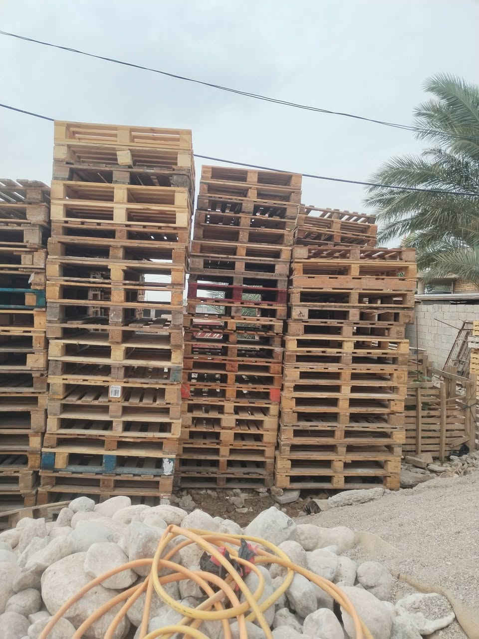 سكيب كيدي • ١٢٠×١٠٠ • كوت