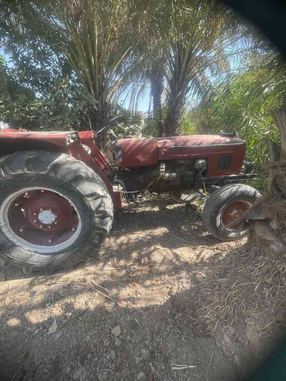 سلام عليكم مكينه عنتر بدون للبيع مكفوله كير محرك بم هايدروليك نكره سلف بريك كامل 
تايرات نص عمر عوزهه بس كهربائيات الباقي خير من الله 
السعر ٣٥٠٠ وبيها مجال قليل 
الاستفسار تصال 

***********
