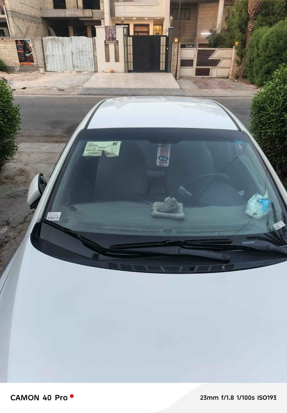 سيراتو • مصبوغة • حزام