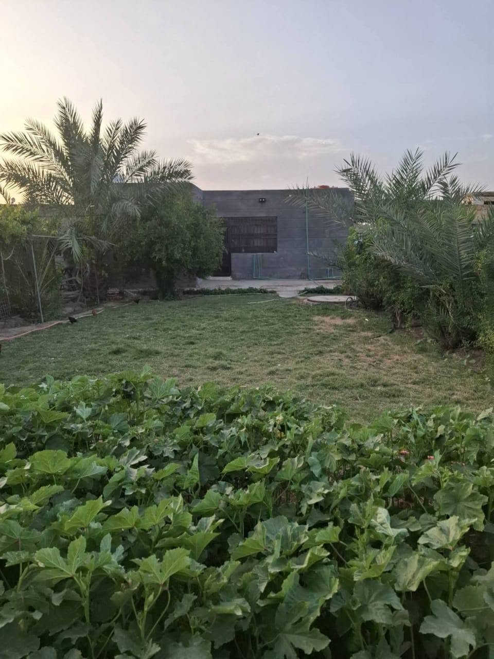 بيت للبيع مساحه 700 متر العنوان الهاشميه نزله الساده البحارنه ‏‪***********‬‏مكلف بالنشر
