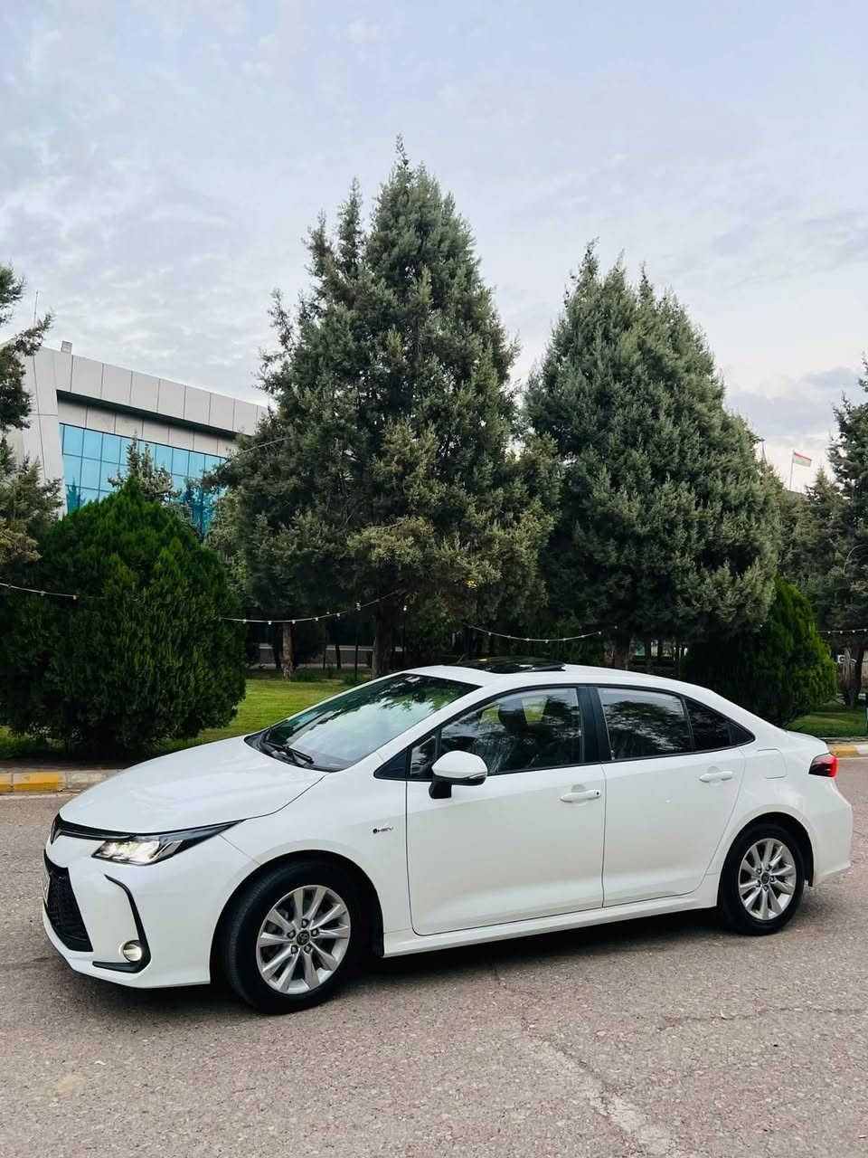 كورولا • ٢٠٢٥ • بدون بوية