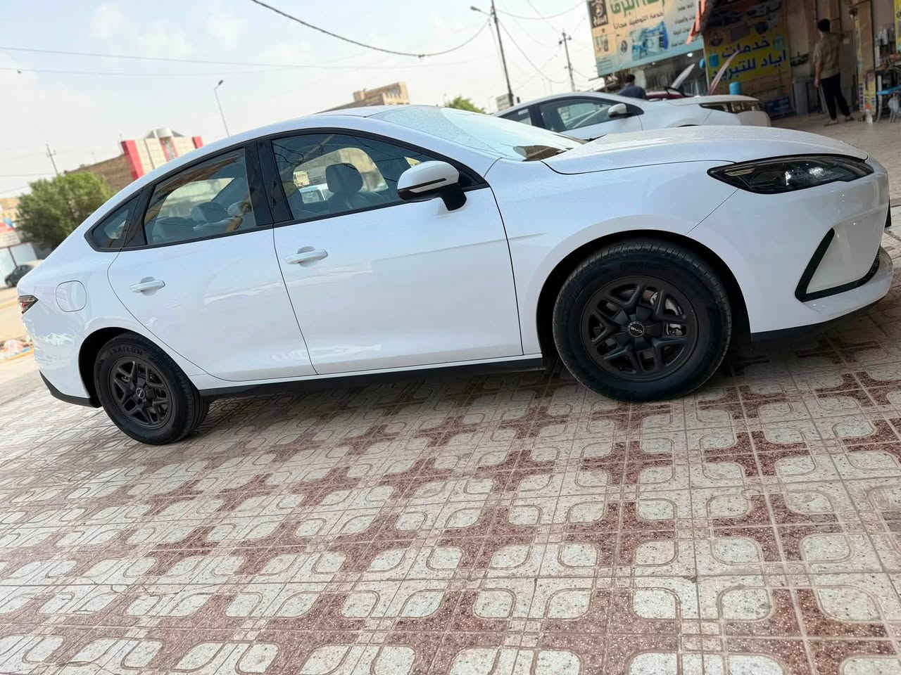 سيل 5 • مكفولة • هايبرد