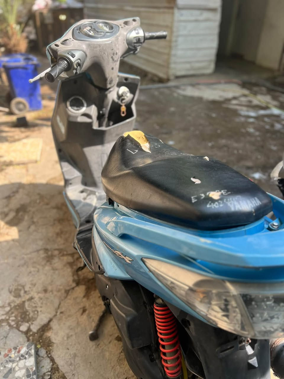 سكنس فحل • كابريتر • بزنجيل