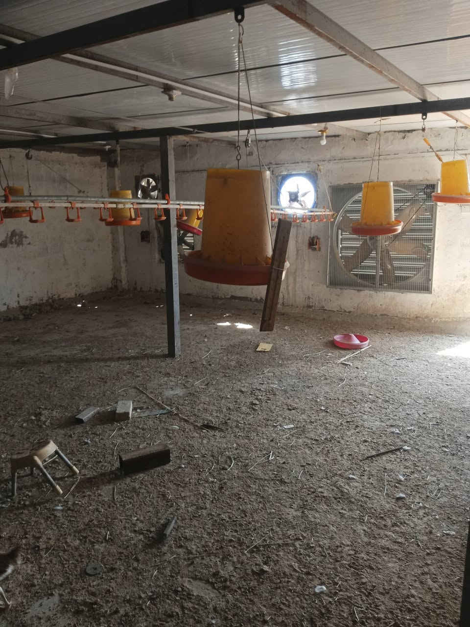 يا الله يتوفر غراض حقل مستخدم مراه واحد نبالت ماء 3خطوط طول خط واحد 30 يتفوفر معالف عدد 40يتوفر حاظانت ما مستخدات عدد 3وهيتراا كبير مثل ما واضح بلصوره عدد 6
المكان القرنه الثغر 
شراي يتصل وبي خير ويدلل ‏‪***********‬‏
