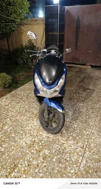 هوندا • PCX • ١٥٠