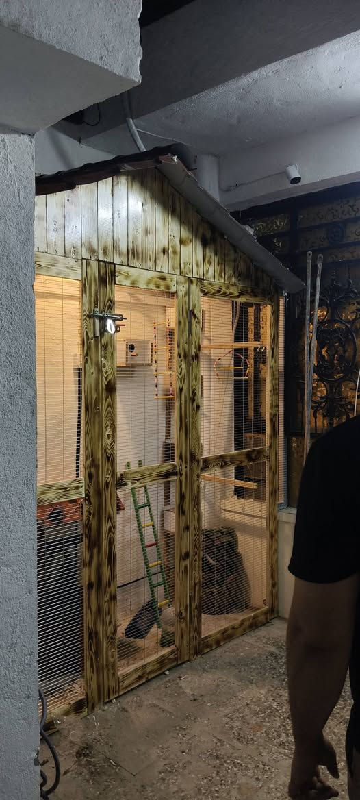 🔨 معمل الكرار | حدادة عامة

متخصصون بصناعة أقفاص وأبراج الطيور بتصاميم مرتبة وقوية، حسب الحجم والطلب 🐦

▫️ أقفاص طيور مفردة ومزدوجة
▫️ أبراج طيور متعددة الطوابق
▫️ أبواب وفتحات عملية وسهلة الاستخدام
▫️ تصاميم خاصة حسب المساحة
▫️ لحام متين وتشطيب مرتب
▫️ تنفيذ حسب القياس والطلب 
يتوفر لدينا كرسته وعمل مع جميع الاوازم من الاضاءة الكهرباء والنباتات الطبيعية وغير الطبيعية و جميع النافورات المائية  واي شي يخص الطيور 

نصنعه حسب فكرتك… وننفذه بإتقان.
⚒️ جودة عالية • شغل نظيف • متانة تدوم
نشتغل بغداد وجميع المحافضات 
الاتصال والاستفسار  ***********
