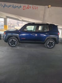جيب رينكد • ٢٠١٧ • ترايل هوك
