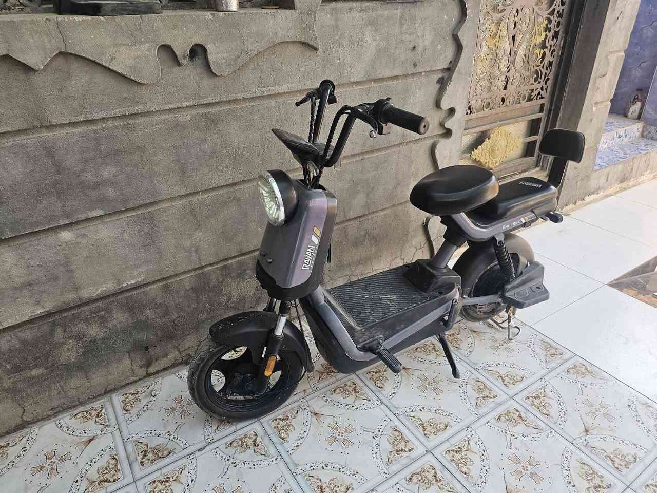 حجم ١٤ • الريان • رصاصي بنفسجي