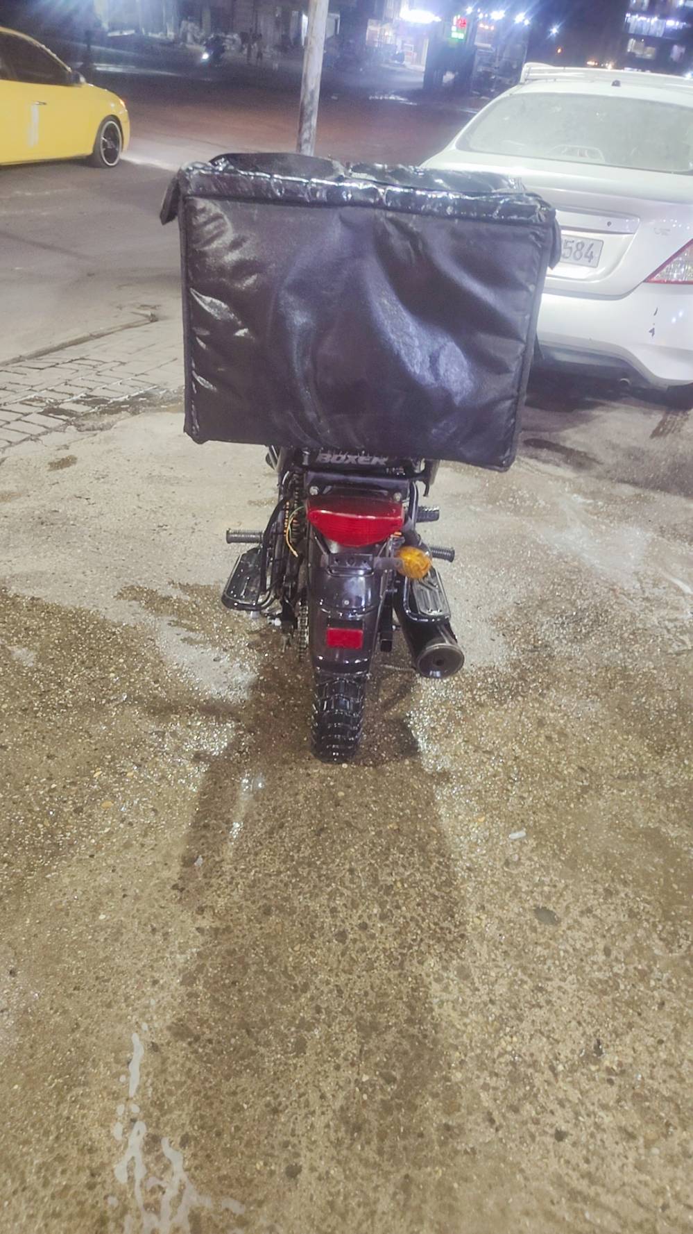 بوكسر • جبلي • مرقمه