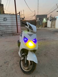 سكنس فحل • ياباني • نكرة