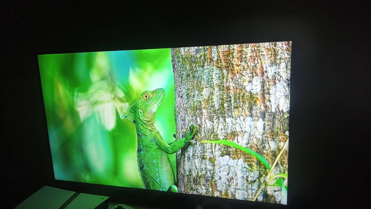 📺 55 بوصة
موديل q80006ld
🔥 4K UHD
⚡ 60Hz
🧠 α5 Gen5 AI Processor 4K
🎮 ALLM وHGiG وGame Optimizer
🌐 webOS + ThinQ AI
🎙️ Magic Remote
HDR10 / HLG �
شاشة الجي حجم ٥٥ نظيفة كلش 
مكاني نجف وهذا رقمي ***********
سعره ٥٠٠ وبيه مجال
