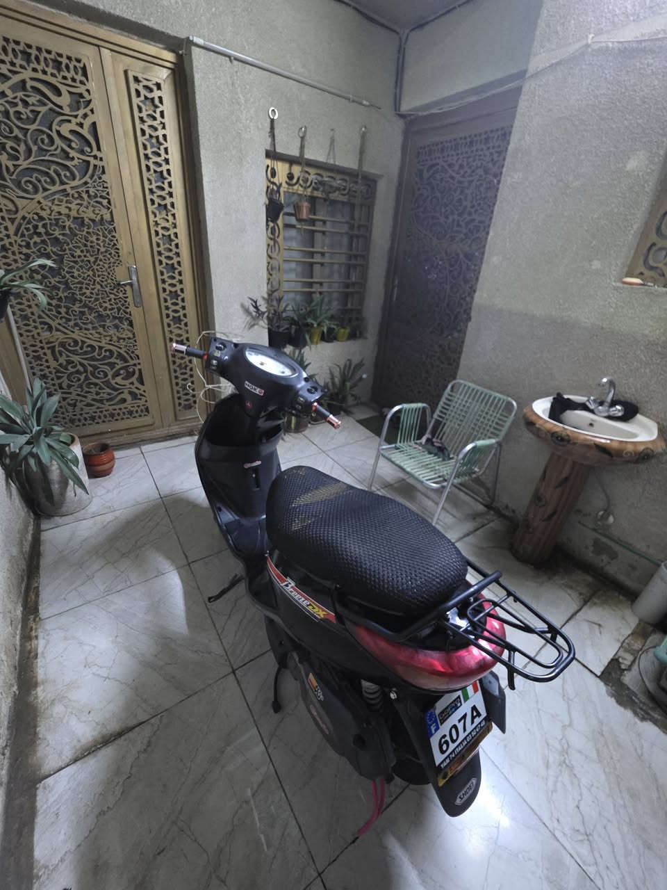بريز بغبغاء • نضيفة • بلادية