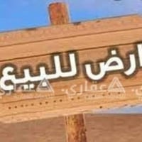 حي الربيع • ١٠٠م • واجهة ٧م