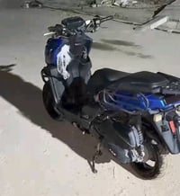 سكنس جبلي • مجفته • شغالة فول