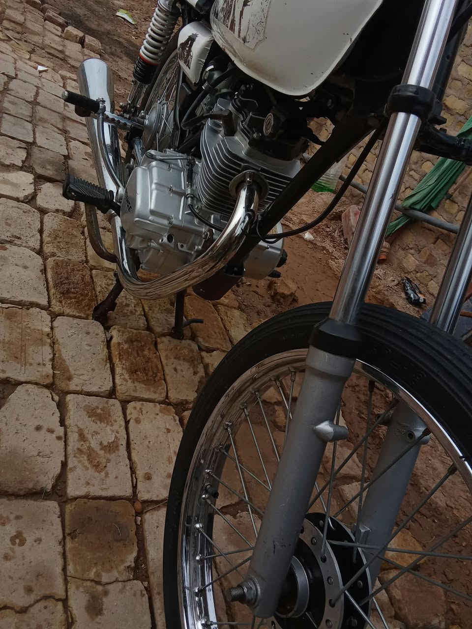 درجه • معمرها • كفالة عام