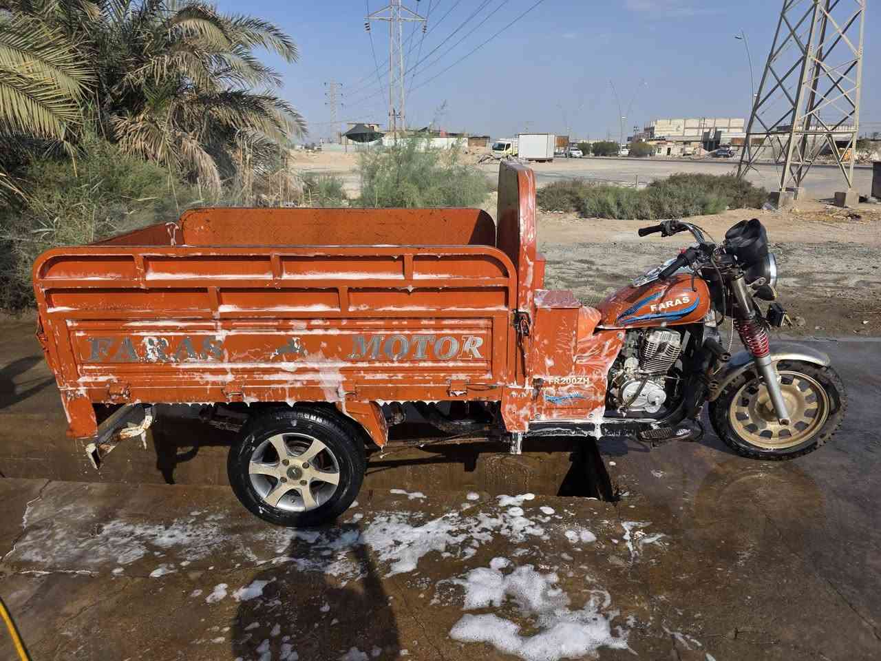 ستوتة فرس • نظيفة جداً • سنوية ٢٠٢٨