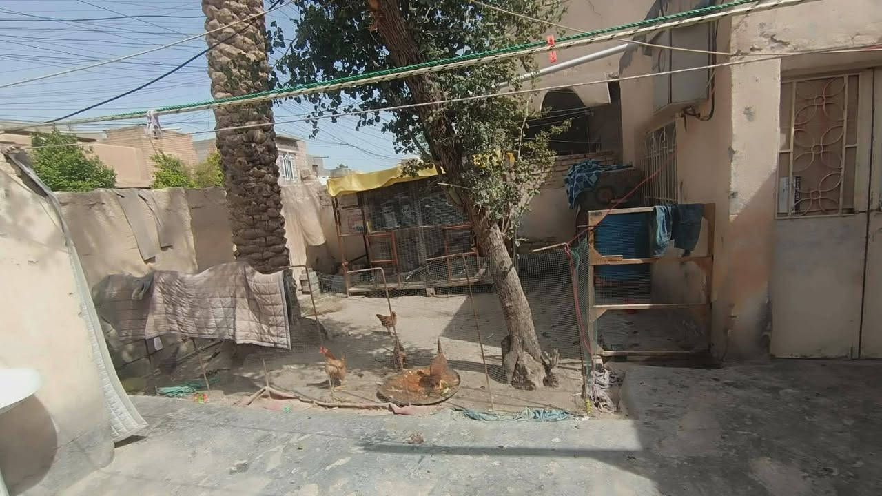 السلام عليكم  ,,, للبيع او مراوس ،،،
دار للبيع او مراوس نوع العقار طابو صرف المساحة ٢٢٠م بناء قديم يباع بسعر قطعة
الموقع ؛ ابي غرق حي السلام خلف اسواق سيد رعد يقع على ثلاث شوارع موقع مميز ،،يحتوي على صالة وكليدور مطبخ وغرفتين نوم وحديقه وكراج.
السعر ١٢٠ وقابل للتفاوض للاستفسار ***********
