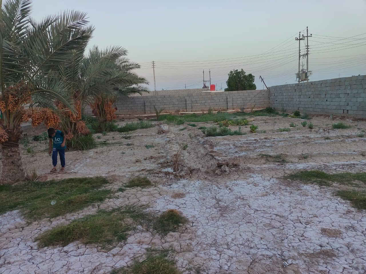 السلام عليكم
بيوت للبيع مساحة البيت الكبير 400 م² و الثاني 200 م²  گدامهن حديقة مساحتها 800 م² تحتوي على 7 نخيل 4 حمالات و 3 فسائل +  بيت ثالث  مساحته 100 م² بناء و 100 م٢ متروكه + قطع عدد 5 مساحة كل قطعة 200 م²
***********
***********
