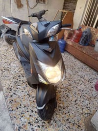 سكنس • ياباني • مكفولة