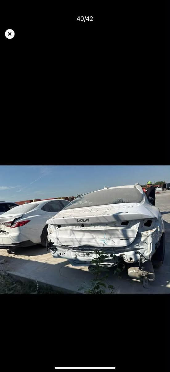 🚘 للبيع Kia K5 2024

• 1.6 تيربو
• وارد أمريكي
رقم بابل كتاب شهداء  

الحادث فقط جنطة راجع على بارد
***********
