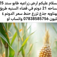 قضاء السنيه • ٢١ دونم • طابو سند ٢٥