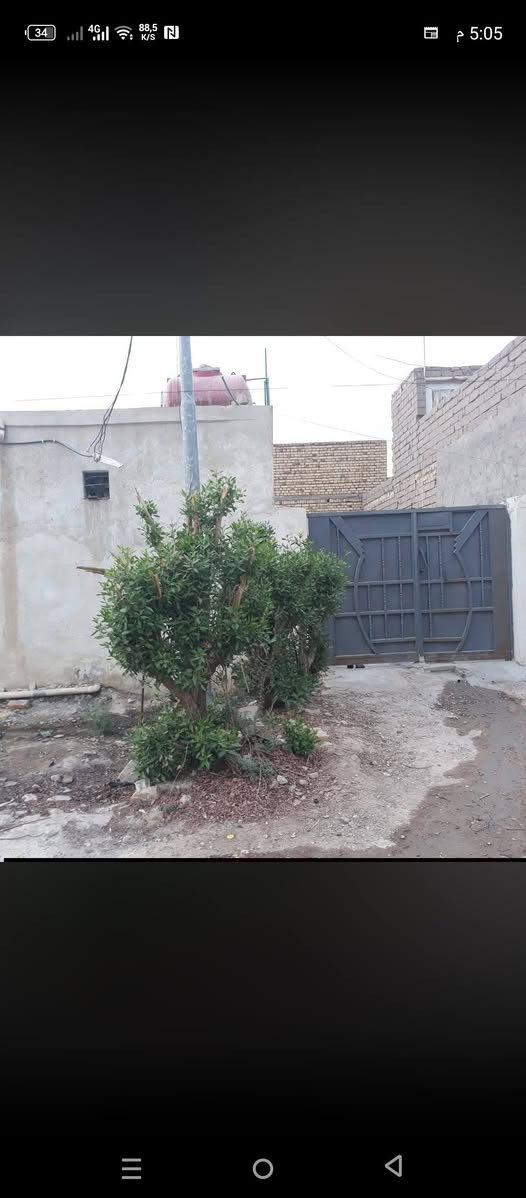المهيديه • ١٦٠م • طابو صرف