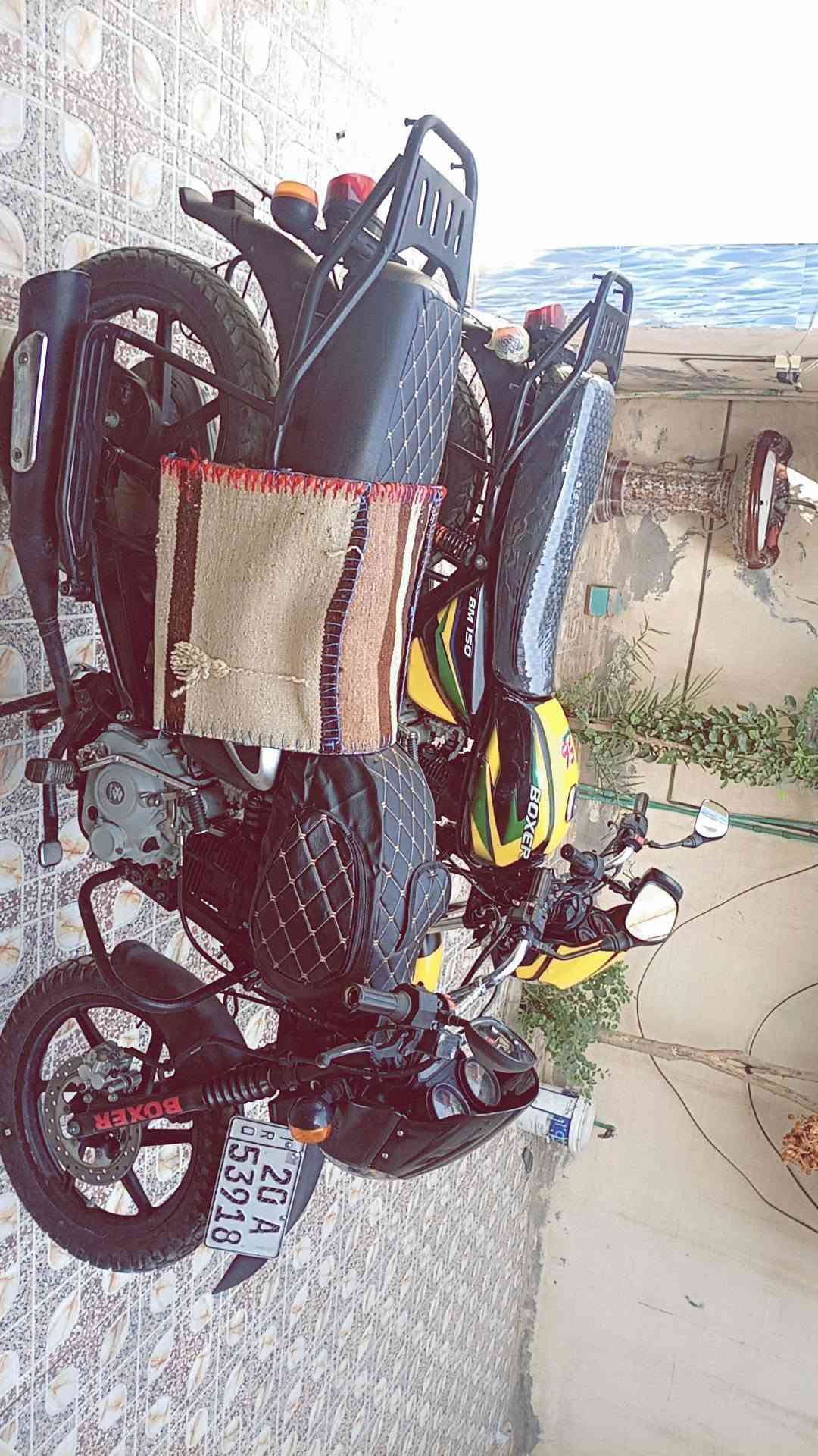 بوكسر • ٢٠٢٢ • مكفول