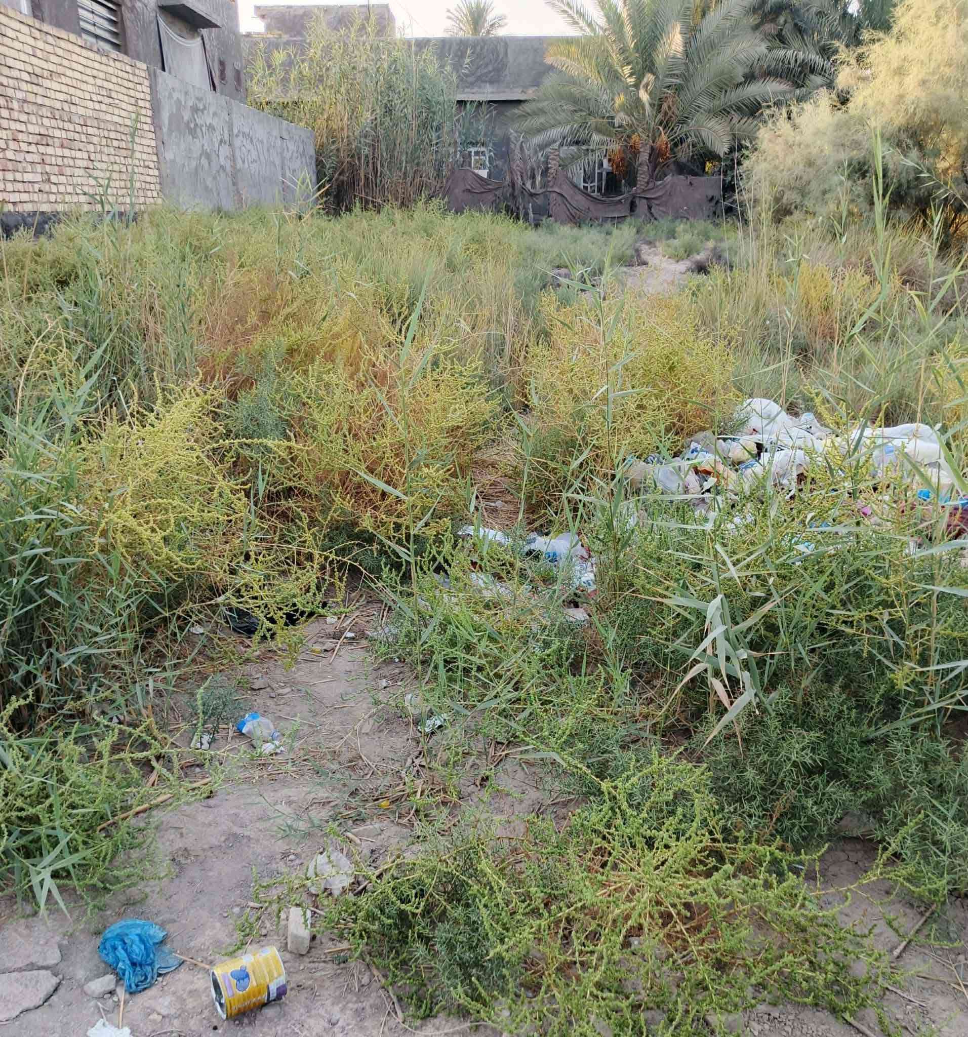 🌳🌺نوع العقار// قطعة زراعية للبيع
🌳🌺جنس العقار// طابو زراعي  سند 25 
🌳🌺 مساحة القطعة 250 متر مربع 

الوجه 10متر 
نزال 25 متر 

🌳🌺 موقع القطعة 
 بابل طريق حله  الديوانية قرب شركة الرنا منطقة الرشيدية تبعد عن الشارع العام 600 متر 
🌳🌺 للإتصال والاستفسار على رقم الهاتف ا التالي واتساب لتواصل  :

***********

بالتوفيق ان شاء الله 
تحياتي للجميع
