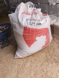 نص گونية • بروتين رقم 1 • كركوك عمل الشعبي