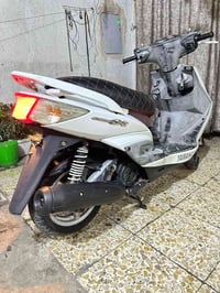 سكنس فحل • ياباني • ماشية ٢٢الف