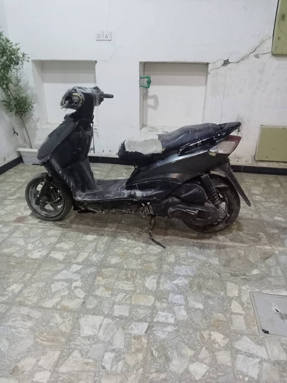 سكنس • ياباني • ١١٠