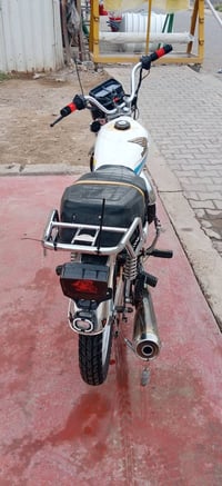 تايگر • ٢٠٢١ • اربع كير