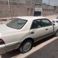 راس الثور • سنوية ٢٠٢٧ • لايت زنون