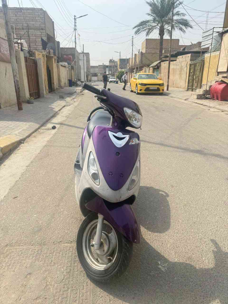 ماكس منغولي • بنفسجي • سلف