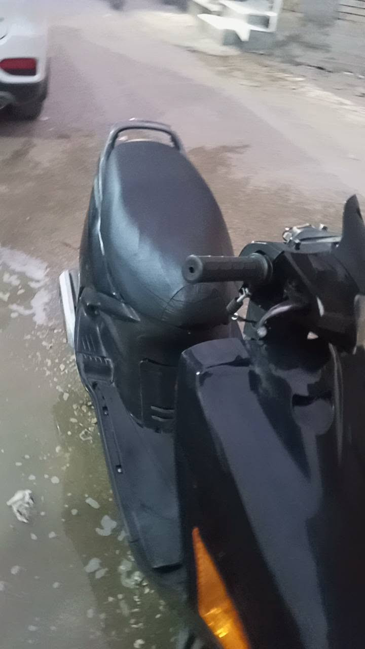 فراشة فحل • نضيفه • سلف
