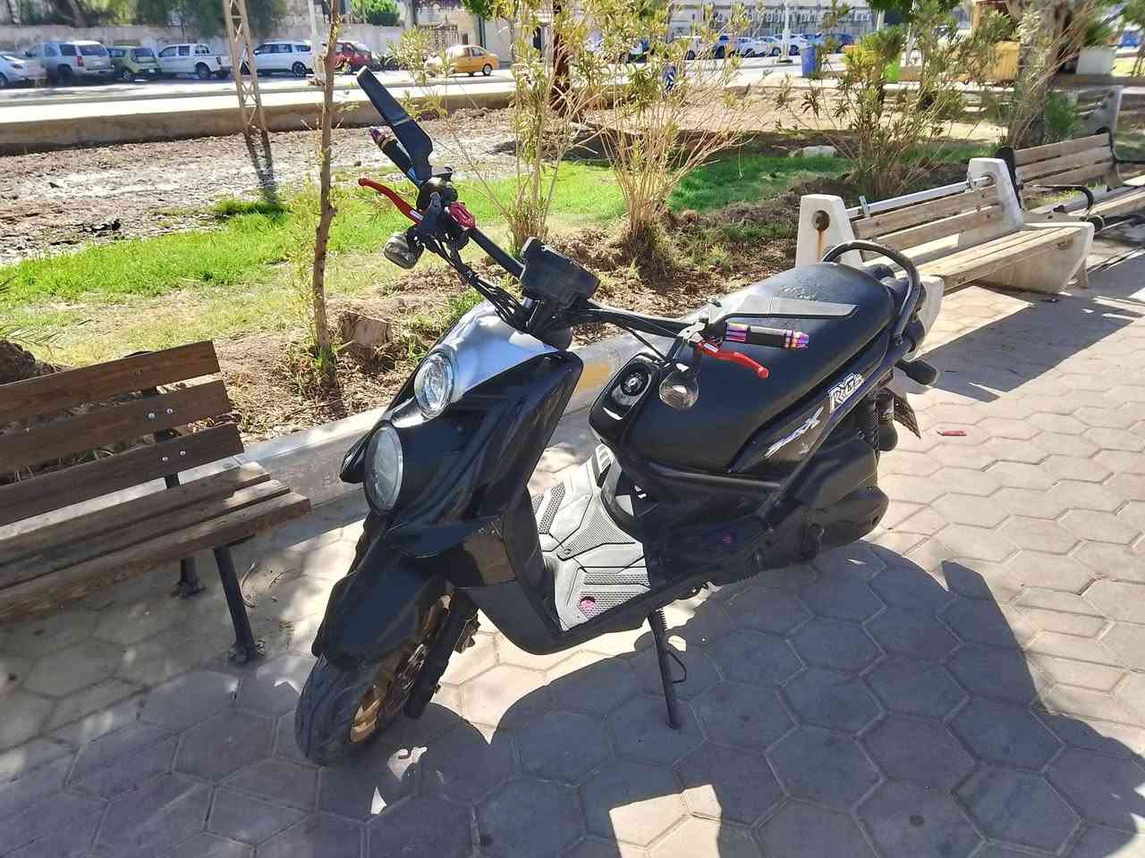 سكنس جبلي • جبلي • للبيع