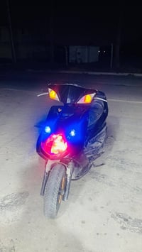 فحل • نقصه • سلف